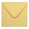 envelop Chamois