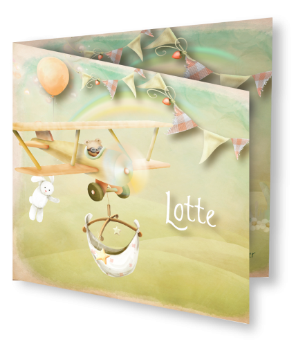 Geboortekaart Lotte 3D