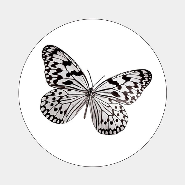 Sluitzegel Zwart wit vlinder
